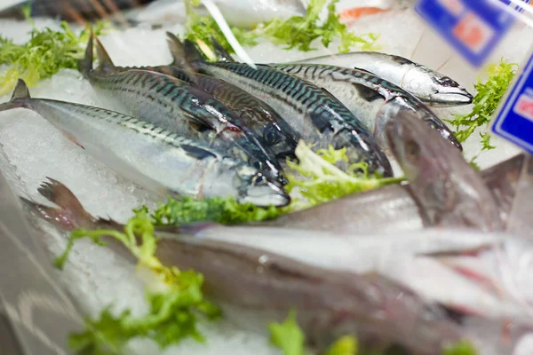 Showcase Dengan Ikan Toko Konsep Makanan Sehat Bio Vegetarian Diet — Stok Foto