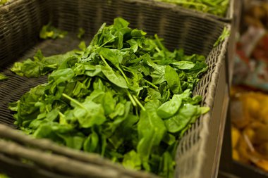 Süpermarkette taze ıspanak. Sağlıklı gıda kavramı, biyoloji, vejetaryen, diyet.