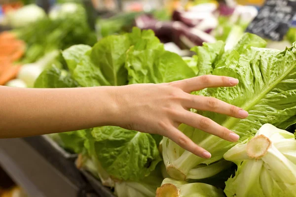 Female hand choosing salad in supermarket. Concept of healthy food, bio, vegetarian, diet.
