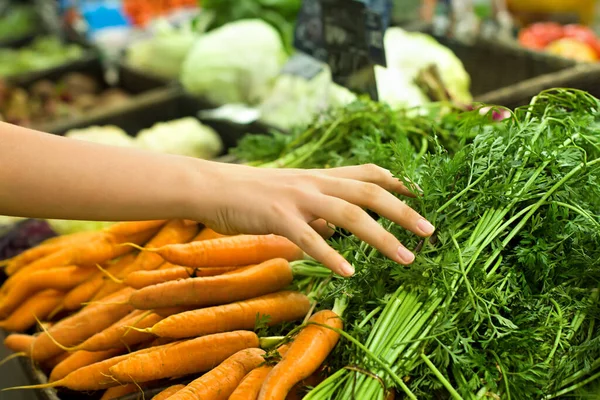 Kadın eli süpermarkette havuç seçiyor. Sağlıklı gıda kavramı, biyoloji, vejetaryen, diyet.