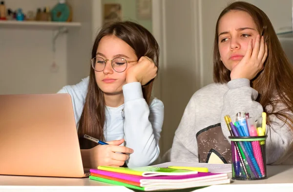 Duas Meninas Fazem Trabalhos Casa Com Ajuda Laptop Muita Informação — Fotografia de Stock