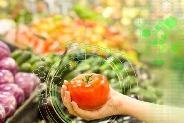 Kadın eli süpermarkette domates seçiyor. Sağlıklı gıda kavramı, biyoloji, vejetaryen, diyet.