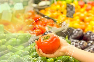 Kadın eli süpermarkette domates seçiyor. Sağlıklı gıda kavramı, biyoloji, vejetaryen, diyet.