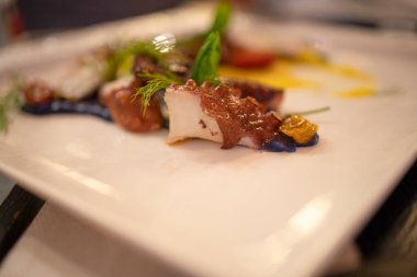 Ahtapot salata tabağına odaklan. Akdeniz mutfağı kavramı, sağlıklı ve lezzetli.