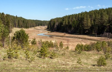 Erken baharda orman ve sarma orman Nehri.