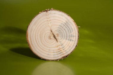 Yeşil arka plan üzerinde iki çekirdek ile kesilmiş bir çam testere. 