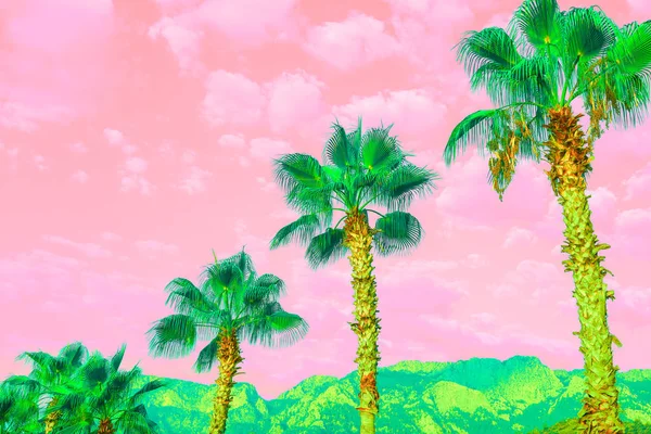 Surreal landscape with  bright palms and cloudy pink-coral sky. — Stock Photo, Image