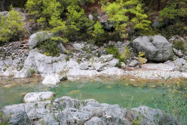 Küçük temiz sakin dağ nehri görünümü, taşlar arasında orman arasında akan. 