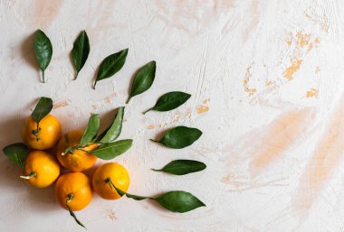 Üst görünüm mandalina ve yeşil yaprakları beyaz arka plan üzerinde fan gibi ortaya koydu.