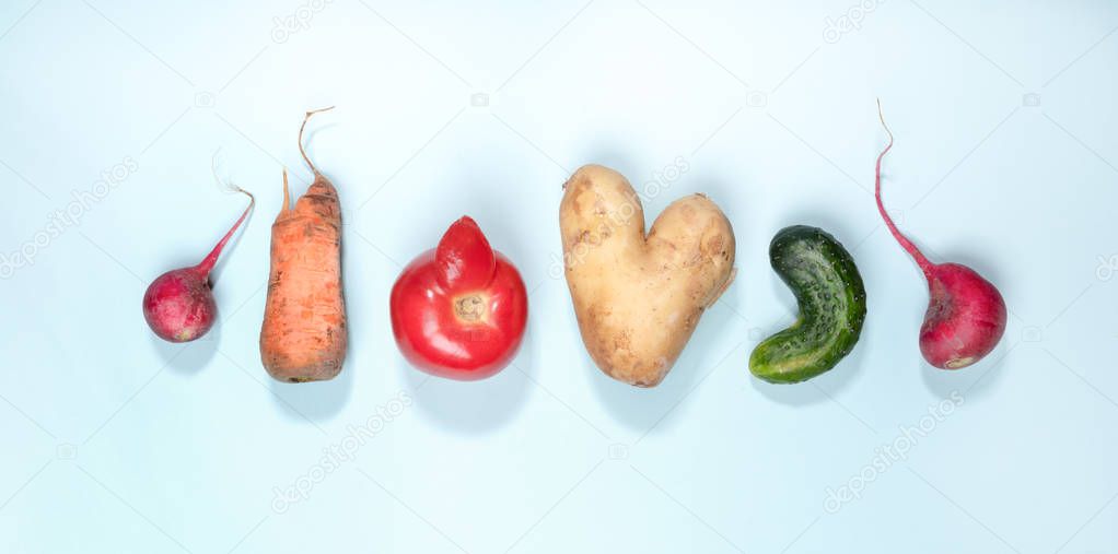 Six ripe ugly vegetables: potato, tomato, cucumber and radish laid out in row on light blue background. 