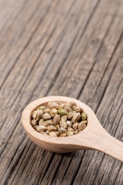 Diagonal eski ahşap tahtalar üzerinde esrar tohumları ile bir ahşap kaşık.