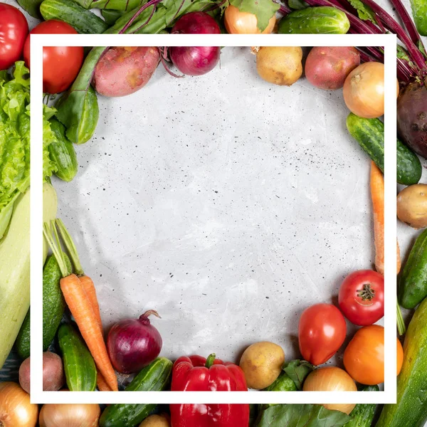 Рамка из овощей и креативная белая квадратная рамка на них на бетонном фоне с копировальным пространством . — стоковое фото