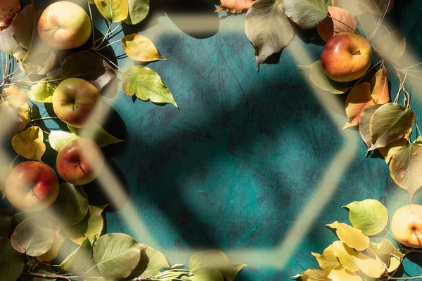 Maçãs com folhas de outono sobre fundo esmeralda iluminado por luz natural da janela com quadro de forma hexágono acima . — Fotografia de Stock