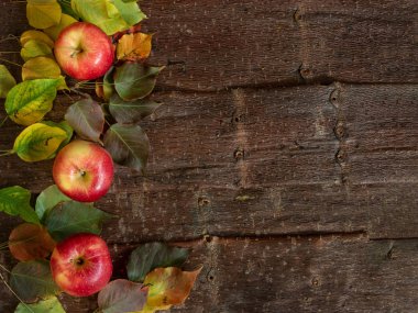 Doğal ağaç kabuğu arka plan üzerinde renkli yaprakları ile olgun çiftlik elma ile Sonbahar arka plan. 