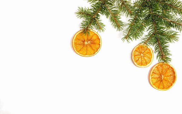 Xmas el yapımı süslemeler. Kurumuş portakal dilimli yeşil köknar dalları kopyalama alanı ile beyaza izole edilmiş.