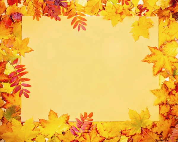 Frame Beautiful Fall Leaves Yellow Empty Paper Sheet Center Empty — Stock Photo, Image