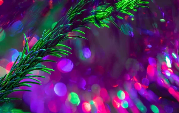 Lila festliche Weihnachten verschwommenen Hintergrund mit grünen Weihnachtsbaum Zweig, Bokeh und weichen Fokus. — Stockfoto