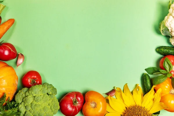 Рамка из свежих сельскохозяйственных овощей на пастельно-зеленом фоне с копировальным пространством для текста. Вид сверху. — стоковое фото