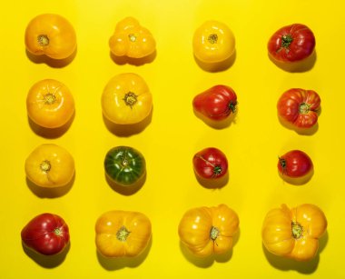 Parlak sarı arka planda farklı renkte domateslerin ritim düzeni. Üst manzara, düz yatış. Sağlıklı doğal yiyecekler. Gerçek yemek. Sebze hasadı konsepti.
