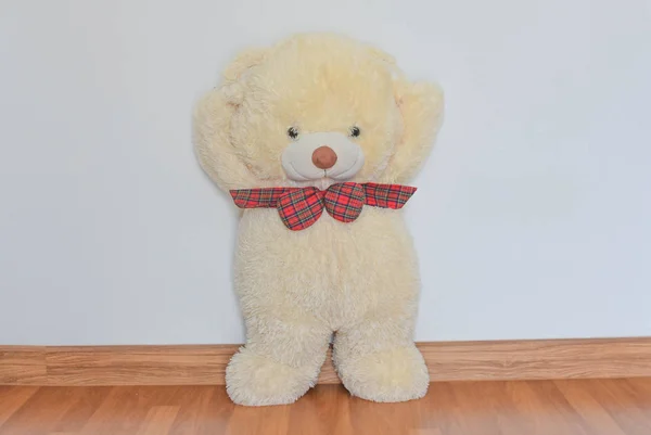 Weißer Teddybär — Stockfoto