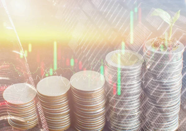 Finansal iş ve para piyasası. Borsa