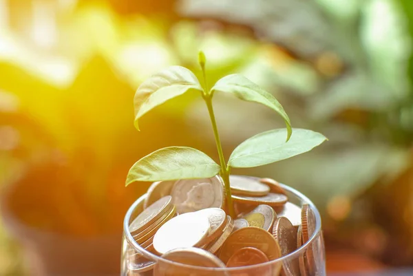 Finansal iş ve para piyasası. Borsa