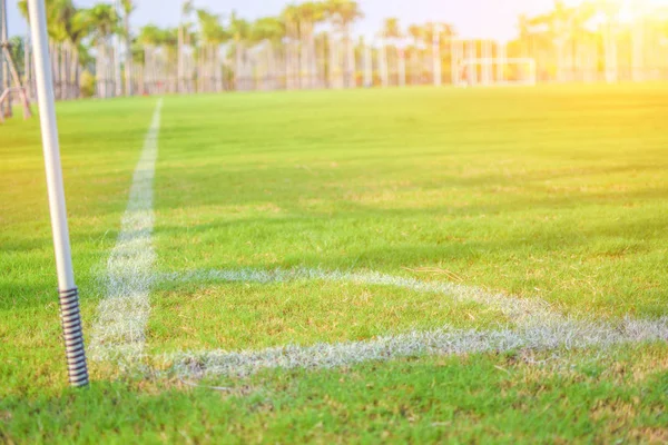 Yeşil futbol sahası akşam ışığında