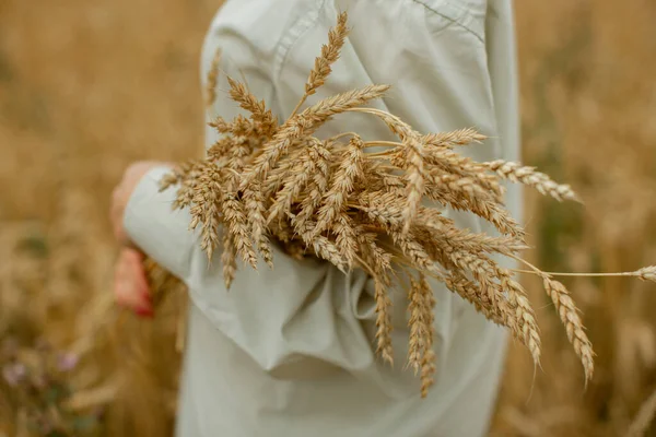 Bouquet of ears in the hands of a woman in a light shirt. — Stock Photo, Image