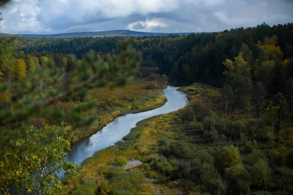 Narrow mountain river in the forest