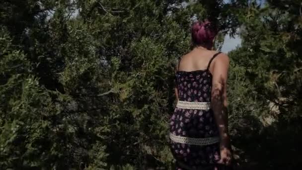 Chica curiosa deambula por los arbustos y sale en una roca con una hermosa vista — Vídeos de Stock