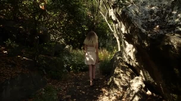Ein Mädchen geht einen Pfad im Wald entlang, um die düstere Atmosphäre — Stockvideo