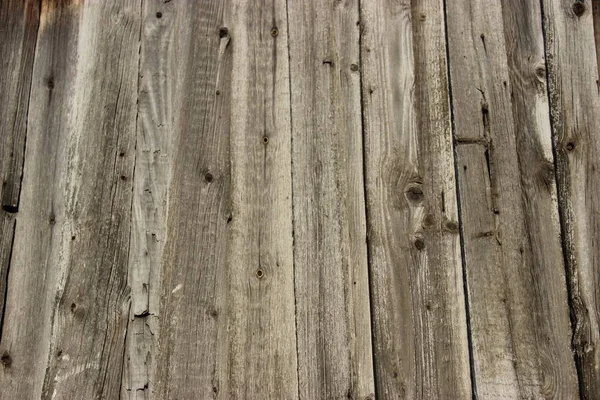 gray wood wall texture, wood wall background