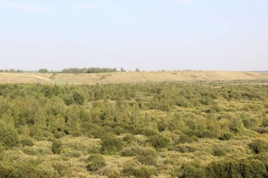 Yerli topraklar. Huş ağaçları, köknar ağaçları ve vadiler.