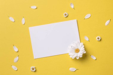 Metin için kopya alanı ile Bahar veya yaz arka plan: boş sabit şablon / davet mockup, sarı kalpli beyaz çiçek, chamomiles ve yaprakları etrafında. Üst te. Düz yatıyordu.