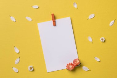 Metin için kopya alanı ile Bahar veya yaz arka plan: boş sabit şablon / davetiye mock ve turuncu çiçekler, chamomiles ve yaprakları ile mockup. Üst te. Düz yatıyordu.