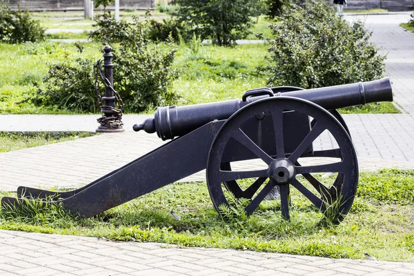 Kanon Schieten Kernen Van Late Achttiende Eeuw Achtergrond Van Bush — Stockfoto