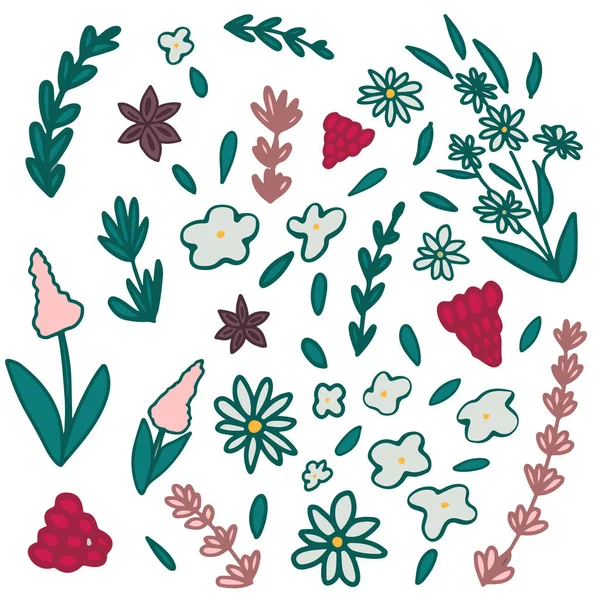 Σύνολο Χειροποίητα Ζωγραφισμένα Πολύχρωμα Σετ Φύλλων Βοτάνων Και Λουλουδιών Λεπτομερείς — Διανυσματικό Αρχείο
