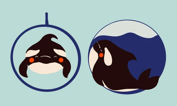 可爱的扁平虎鲸画 可爱的小漫画Orca矢量插图 野生海洋中的幼小稀有动物 省省吧 不要用海豚馆 停止鲸鱼表演 关心大自然的概念 — 图库矢量图片