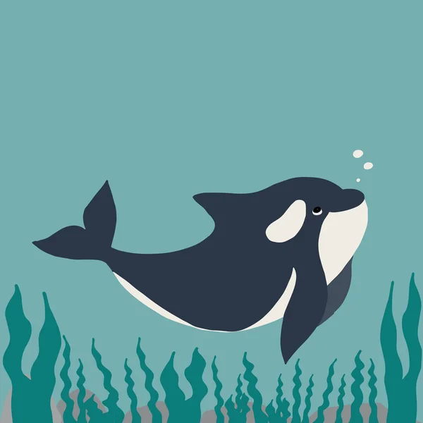 可爱的扁平虎鲸画 可爱的小漫画Orca矢量插图 带有字母的幼稚稀有野生动物海洋概念 我必须生活在海洋中 — 图库矢量图片