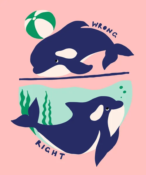 可爱的扁平虎鲸画 可爱的小漫画Orca矢量插图 野生海洋中的幼小稀有动物 省省吧 不要用海豚馆 停止鲸鱼表演 关心大自然的概念 — 图库矢量图片
