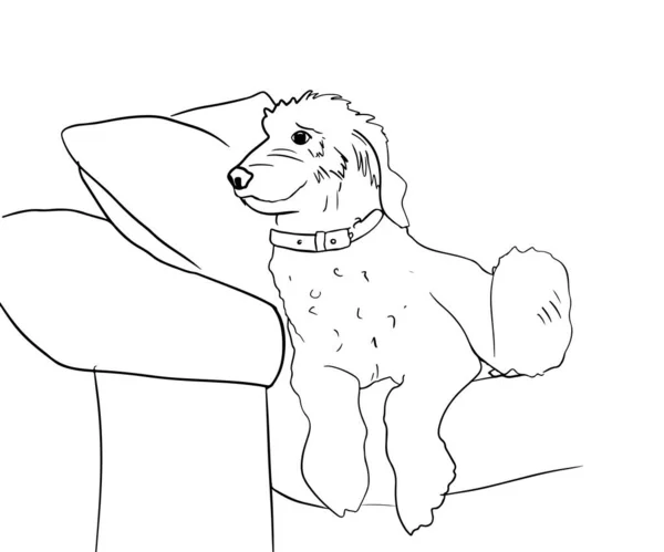 Pies Rysujący Atrament Siedzący Sofie Słodki Piesek Leży Kanapie Wektor — Wektor stockowy