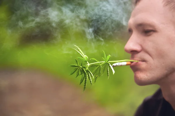 Hemp and cigarette. Legalize marijuana with a human mouth with a joint or cigarette in your teeth. Smoking weed. Drug use. Blurred smoke and smoke background with copy space. Man smoking a cigarette