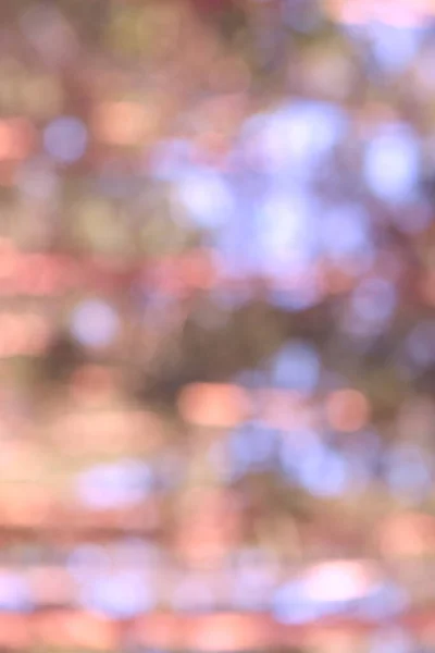 Размытый Фон Абстрактный Фон Боке Абстрактный Красочный Яркий Фон Размытый — стоковое фото