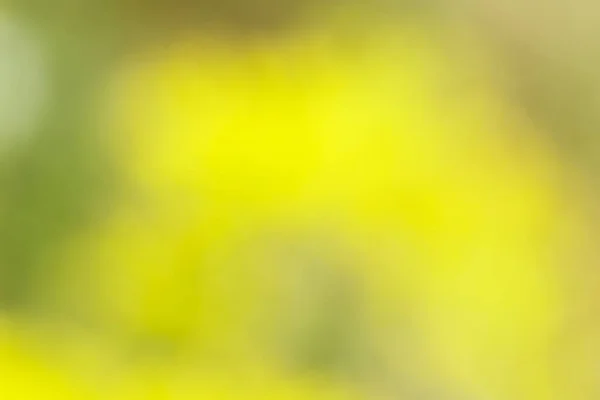 要旨緑の自然を背景に 黄色がぼやけている 自然の要素 グラデーションの概念 テキストの背景 グリーティングカードのデザイン スペースのコピー — ストック写真