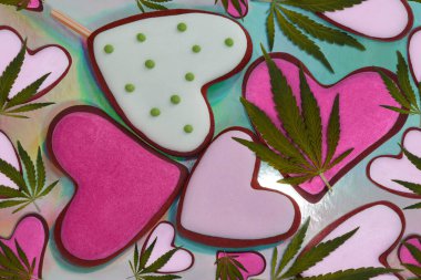 Kusursuz desenli kurabiyeler ve kenevir yaprakları. Tıbbi marihuana yaprakları ve pembe kalpler. Kalp şeklinde zencefilli kurabiye renkli bir arka planda yatar. Zencefilli çörek ve kenevir yaprağı. Aşk ve esrar..