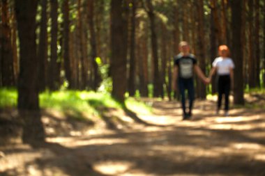 Arka plan bulanık. Ormanda el ele tutuşan genç bir çift. Romantik ilişki kavramı. Çam parkında yürüyen bir çift aşığın bulanık görüntüsü..