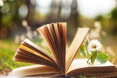 Açık kitap ve bokehle yaz arkaplanı. Çiçek yer imleriyle doğal bir arkaplan üzerine açık bir kitap..