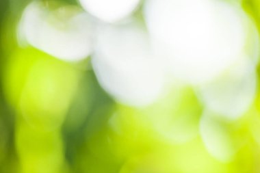 Bulanık yeşil arka plan. Bulanık bokeh arka plan. Ses tonlarında ve ruh hallerinde minimalizm birçok projede faydalıdır..