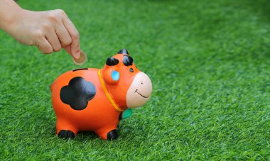 insan eli domuz/sığır Bankası çim ile tasarruf para