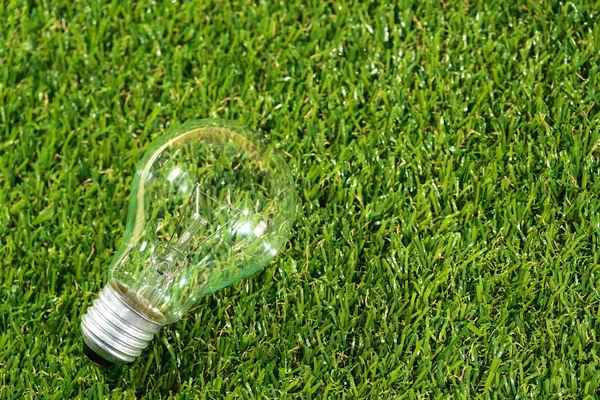 çim üzerinde elektrikli cam ampul (yaratıcı kavramı)